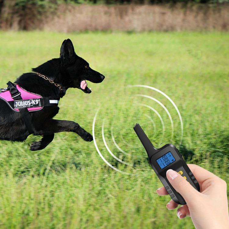 Hand holding black dog training remote with blue screen and control buttons outdoors.