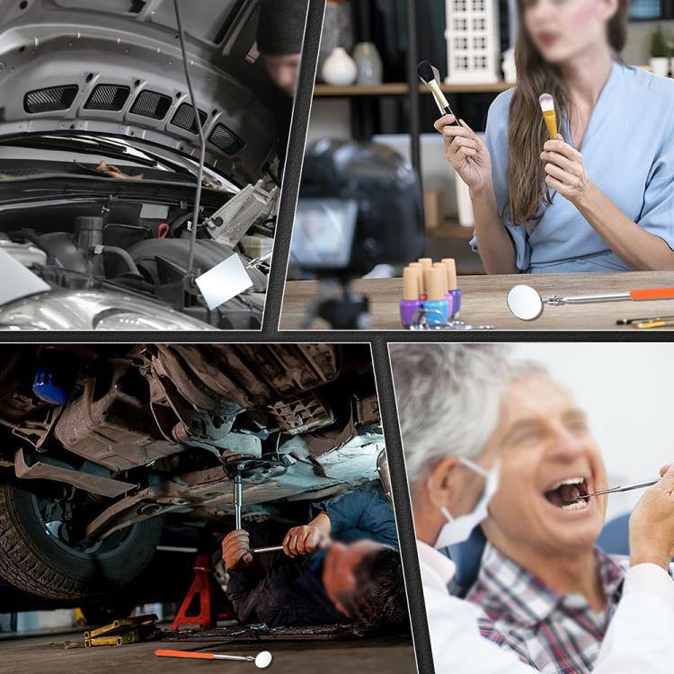 TBD06059780_B6.jpg@500d5d02592ac8e5ad08964bd99c1e5b