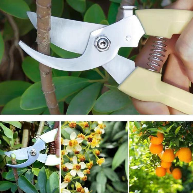 Ivory-handled pruning shears with curved blade trimming stems among green leaves