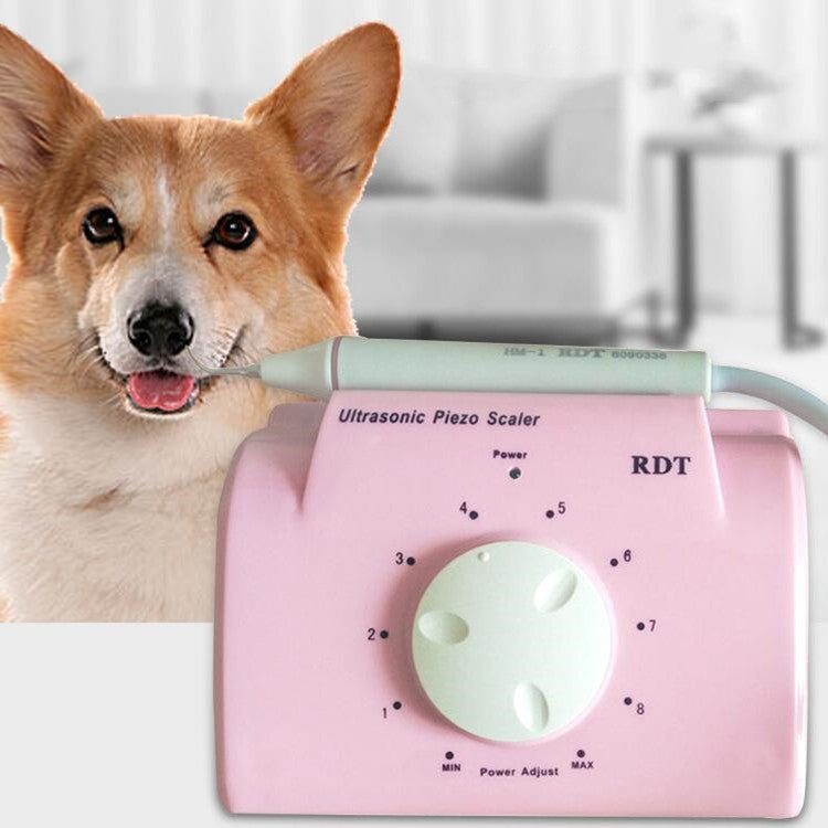 Ultrasonic pet teeth scaler device shown with green piezo tip and pink RDT control panel
