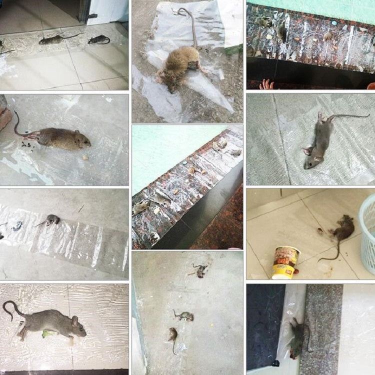 Anti-rodent Strong Sticky Board Transparent Sticky Mouse with Mousetrap Glue, Long Transparent