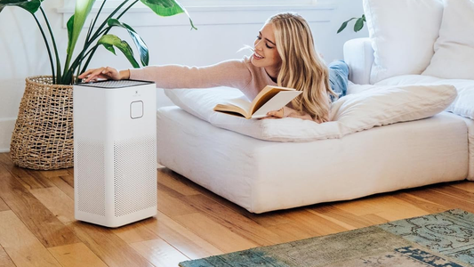 A Comprehensive Guide to Air Purifiers and Accessories: Understanding Types, Benefits and Maintenance