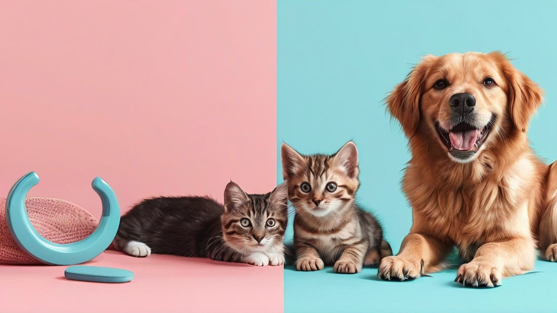 pet care