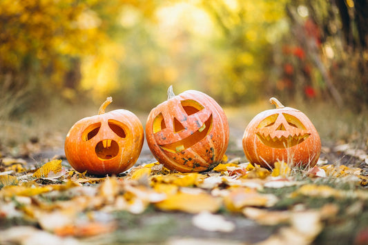 Unleash the Magic of Halloween with Spectacular Halloween Sale: Spooky Costumes, Decorations and Accessories at Unbeatable Prices 