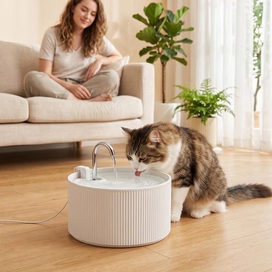 White ceramic pet water fountain with chrome faucet, cat drinking from the basin