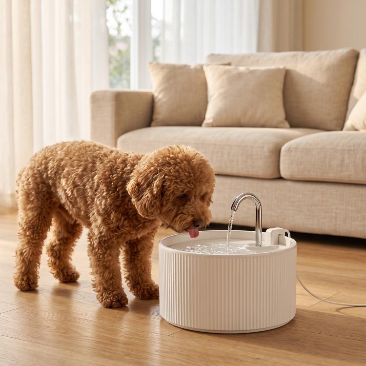 White ceramic pet water fountain with chrome faucet, dog drinking at home