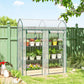 Clear mini greenhouse with green frame, arched roof, and transparent walls