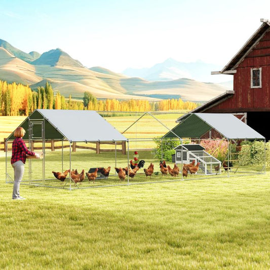 Outdoor metal chicken run with green roof panels and mesh fencing, multiple chickens