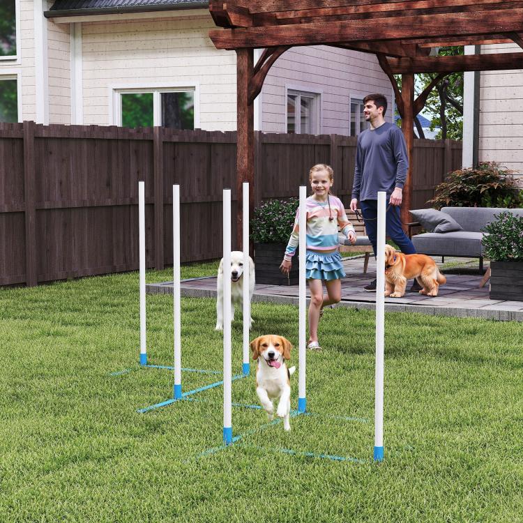 Dog agility weave pole set in yard with white poles and blue bases during training