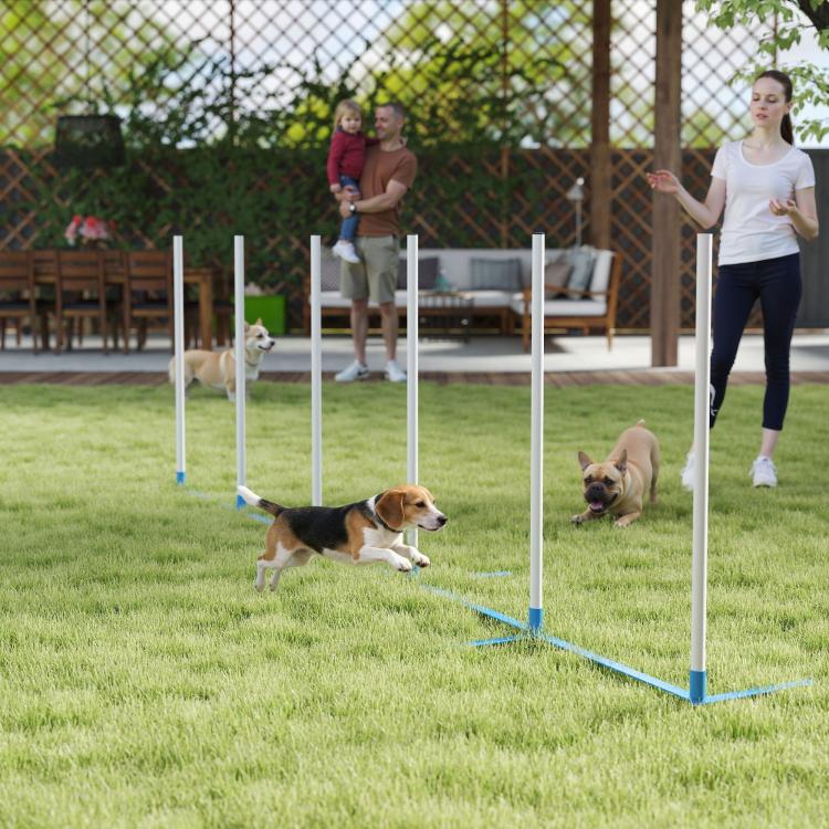 Dog agility weave pole set with multiple white poles and blue bases for dog training