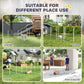 Dog agility weave pole set suitable for garden and yard use with white poles and blue bases