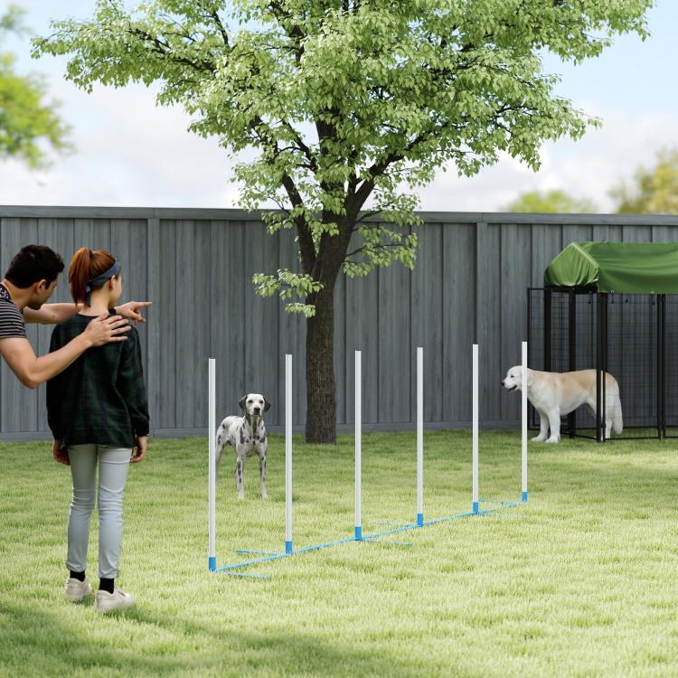 Outdoor dog agility weave pole set on grass with white poles and blue base bars