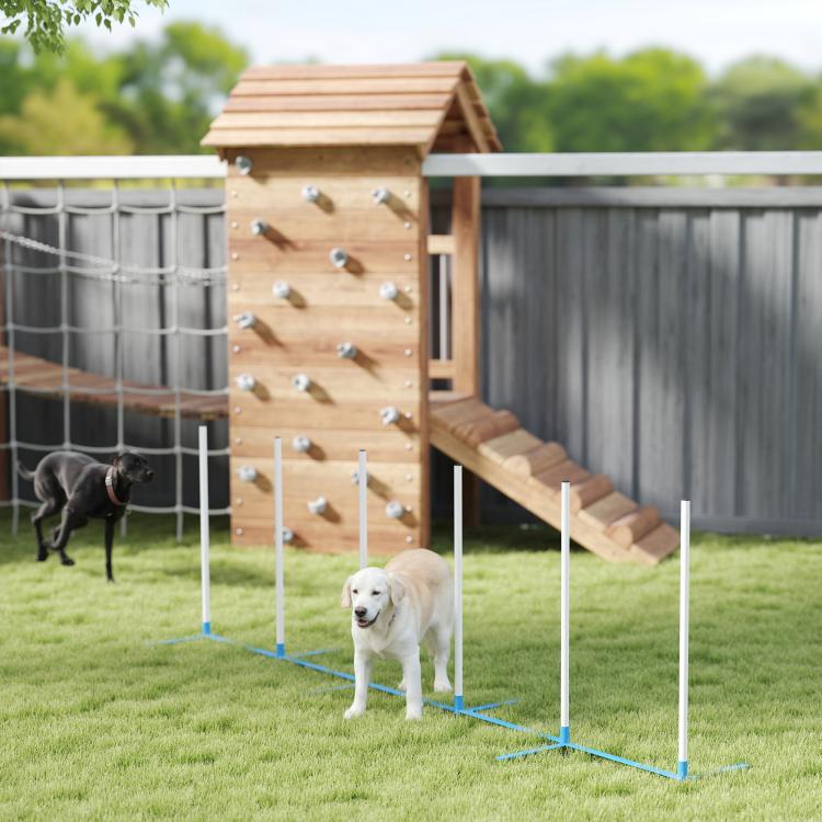 Dog agility weave pole set beside backyard play area with white poles and blue bases