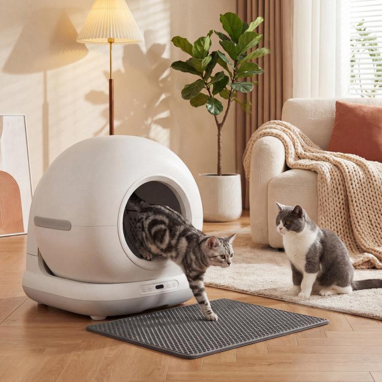 White enclosed cat litter box with round doorway and gray litter mat, cats nearby