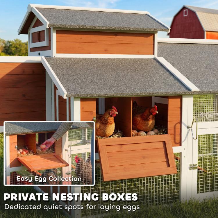 Wooden chicken coop with private nesting boxes and enclosed run area for hens
