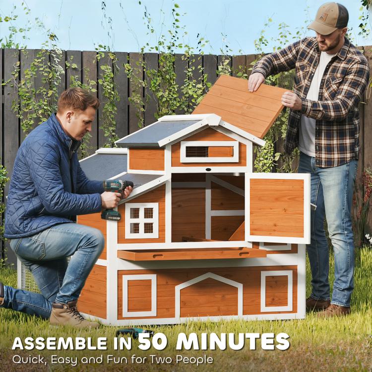 Wooden chicken coop being assembled, with doors, nesting openings, and enclosed run