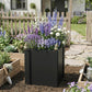 Black raised garden bed planter box filled with purple and white flowers