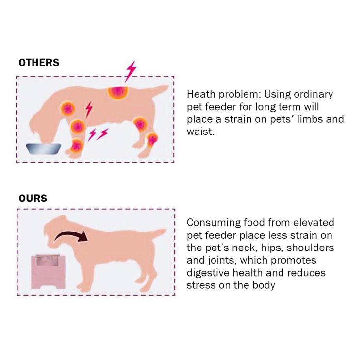 Elevated dog feeding station strain-reduction design illustration
