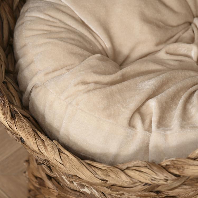 Wicker cat bed basket with light cushion, visible woven rim and plush fabric