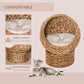 Light brown woven cat dome bed with soft cushion and elevated design shown