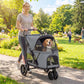 Gray 3-wheel pet stroller with mesh canopy window and padded interior on outdoor path