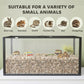Large acrylic small-animal cage with black frame, clear front, bedding inside