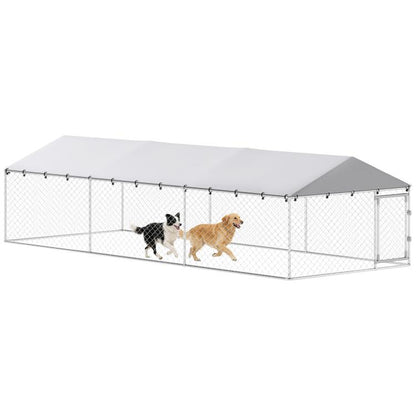 Outdoor dog kennel with silver chain-link walls, white roof, and two dogs inside