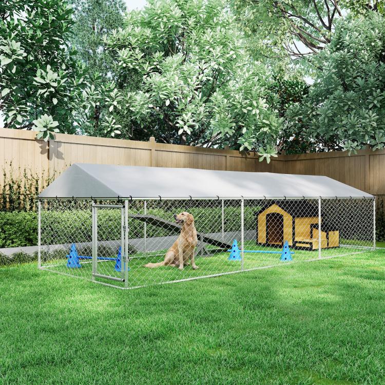 Outdoor dog kennel with dogs and play accessories behind chain-link fence and roof
