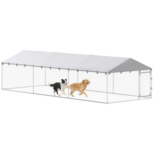 Outdoor dog kennel with silver chain-link walls, white roof, and two dogs inside