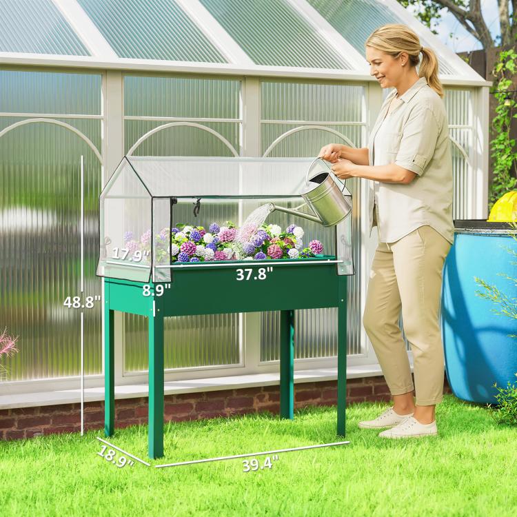 Green greenhouse garden bed with clear cover, protective frame, and side openings