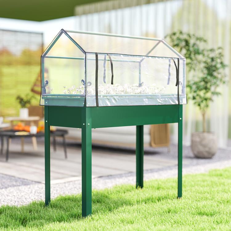 Green raised bed with clear greenhouse cover and openable zip front panels