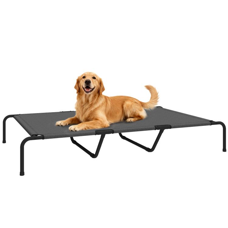 Gray elevated dog bed with black metal legs and mesh sleeping surface, with dog resting