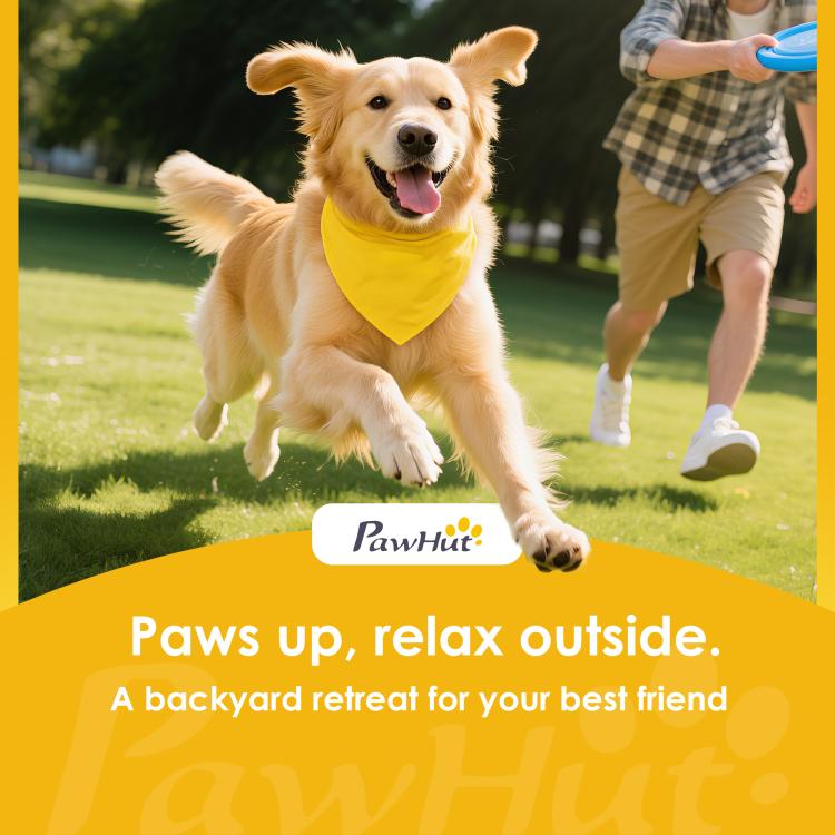 Outdoor scene with dog wearing yellow bandana running on grass