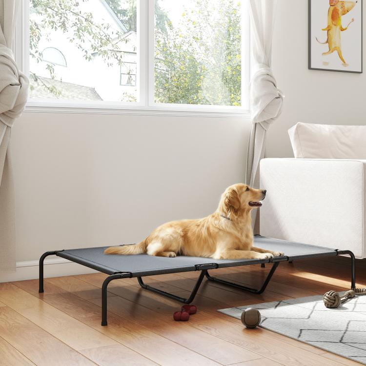 Gray elevated dog bed with black metal legs and mesh top, with dog resting