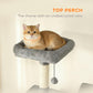Single cat resting on the top cushioned perch of a dark gray cat tree