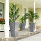 Set of 3 tall gray tapered plastic planters with plants on outdoor step edge
