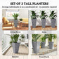 Set of 3 tall gray tapered plastic planters with plants for living room and patio