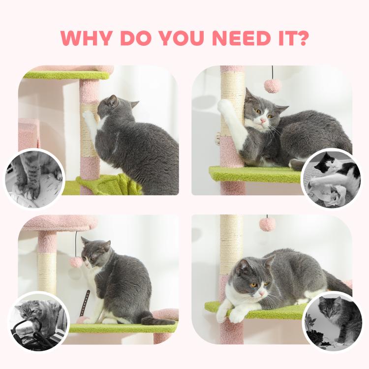 Cat tree use collage showing cats climbing and resting on platforms and ramp