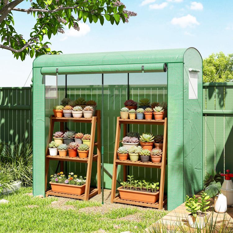 Portable mini greenhouse with roll-up door and two mesh windows, green PE cover