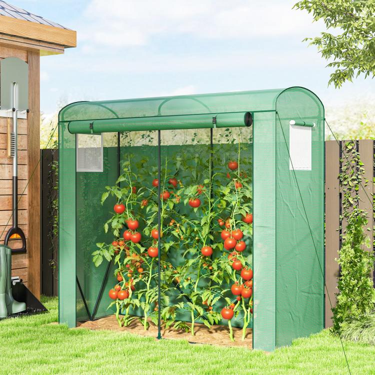 Green mini greenhouse with clear mesh panels and a domed roof over garden plants
