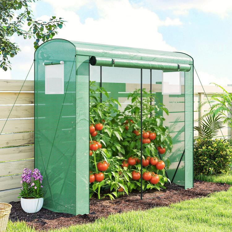 Green portable greenhouse with mesh doors and side panels enclosing tomato plants