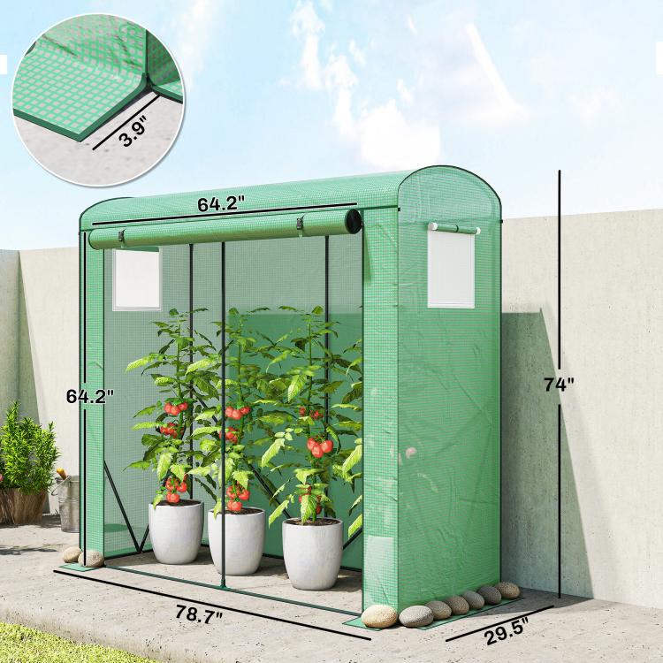 Green mini greenhouse with roll-up door, mesh windows, and greenhouse cover dimensions