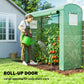 Green mini greenhouse with roll-up door opening for easy plant care