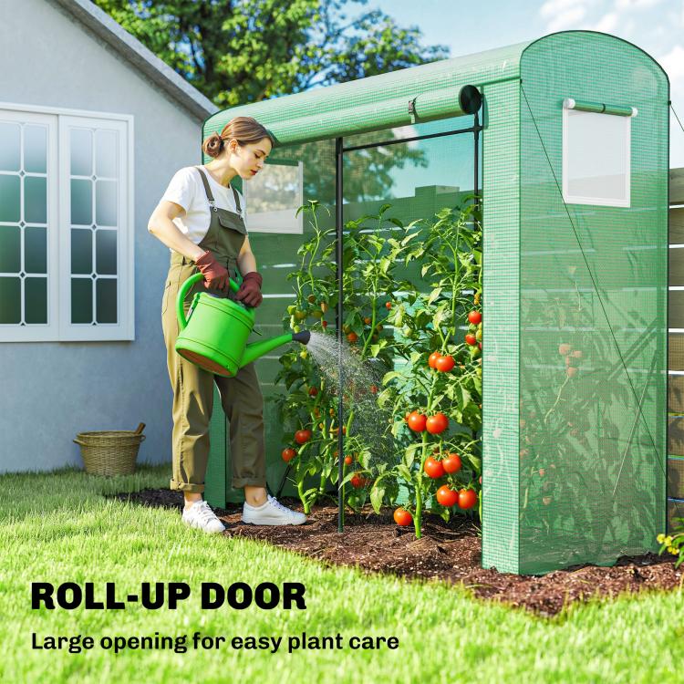 Green mini greenhouse with roll-up door opening for easy plant care