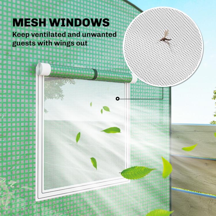 Green mini greenhouse with mesh windows for ventilation and airflow