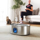 Stainless steel pet water fountain with flowing water from top spout and blue indicator