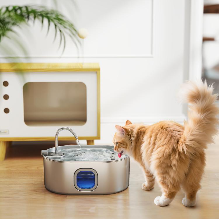 Stainless steel pet water fountain with blue indicator window and drinking spout