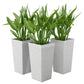Set of three white stone-finish planters with upright plant-filled tops