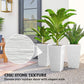 Set of three white stone-texture planters with assorted leafy plants