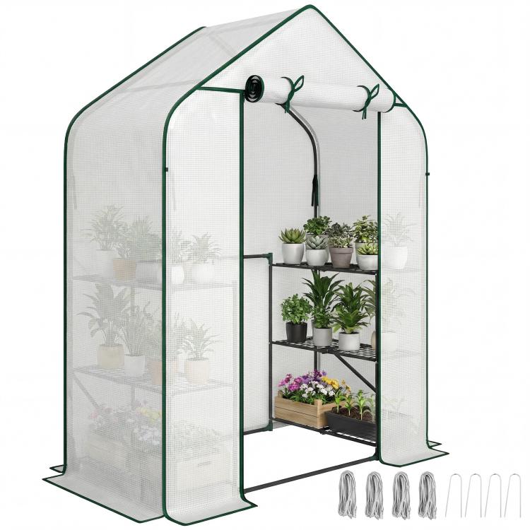 White PE greenhouse with green frame, roll-up door, and metal 6-tier shelves